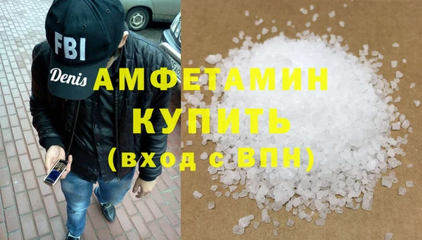 молекула духа Пестово
