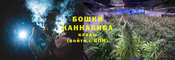 стафф Абаза