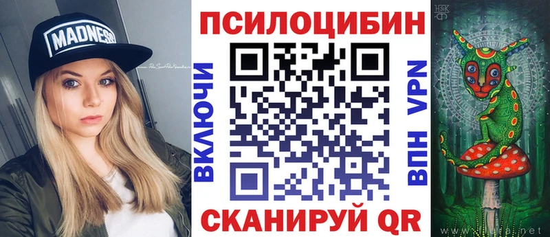 дарнет шоп Приволжск Галлюциногенные грибы Psilocybine cubensis